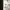 Adidas Y2K Sportswear Jersey Pria white photo 6