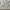 Polo Ralph Lauren Longsleeve Polo Shirt photo 4