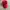 90’s Polo Ralph Lauren Red Cap photo 1