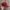 90’s Polo Ralph Lauren Red Cap photo 3