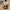 Jual boneka serba ada photo 2