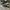 Converse Allstar Hi Black White photo 2
