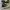 Converse Allstar Hi Black White photo 4