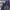 GIUSEPPE ZANOTTI LOW TRIPLE BLACK ZIP , GIUSEPPE ZANOTTI LOW photo 7