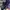 GIUSEPPE ZANOTTI LOW TRIPLE BLACK ZIP , GIUSEPPE ZANOTTI LOW photo 6