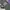 GIUSEPPE ZANOTTI LOW TRIPLE BLACK ZIP , GIUSEPPE ZANOTTI LOW photo 8