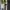Coogi pant Not jnco,affliction,xzavier,tapout,crownholder photo 9