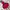 Jacket winter puffer tebal anak goose down pink eider gembul photo 6