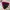 Jacket winter puffer tebal anak goose down pink eider gembul photo 4