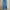 CELANA DENIM JEANS LEVIS 514 photo 1