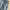 CELANA DENIM JEANS LEVIS 533 photo 3