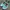 Vans Streetwear Skater Sneakers Pria pink blue photo 4