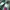 Vans Streetwear Skater Sneakers Pria pink blue photo 2