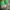 Vans Streetwear Casual Sneakers Wanita green photo 4
