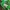 Vans Streetwear Casual Sneakers Wanita green photo 2