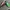 Vans Streetwear Casual Sneakers Wanita green photo 5