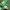 Vans Streetwear Casual Sneakers Wanita green photo 6