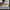 Vans Streetwear Casual Sneakers Wanita multicolor white photo 4
