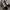 Vans Streetwear Casual Sneakers Wanita multicolor white photo 3