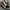 Vans Streetwear Casual Sneakers Wanita Multicolor White