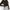 Colorbox black runched crop top rib knit photo 1