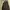 Hush Puppies Black Outerwear photo 1