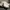 Airwalk Casual White Shoes photo 1