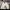Airwalk Casual White Shoes photo 4