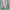 Cosplay Pakaian adat Midi dress Wanita purple gray photo 8
