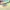 Columbia Y2K Sweater Wanita cream photo 4