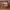 Brown Slingbag - Jimshoney photo 1