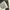 Nike ACG Y2K Windbreaker Pria white black photo 4