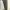 Nike ACG Y2K Windbreaker Pria white black photo 6
