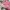 Jacket winter puffer anak the north face pink photo 8