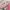 Jacket winter puffer anak the north face pink photo 4