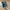 Kipsta 100 by Decathlon size 42 photo 2