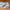 Air Jordan Nike 5 Retro Green Bean size 43 photo 3