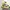 Topi Minion Disney photo 2