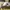 New Balance Vintage Hat Kids white black photo 2