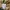 Buckaroo canvas work jacket photo 10