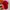 topi cap vondutch ripped pink size free adjustable y2k photo 6