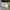 Converse Allstar Hi White photo 3
