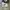 Converse Allstar Hi White photo 1
