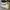 Converse Allstar Hi White photo 3