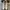 Converse Allstar Hi White photo 5