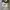Converse Allstar Hi White photo 1