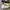 Converse Allstar Hi White photo 4