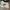 Converse Allstar Hi White photo 2