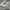 Nike Casual Sneakers Wanita white pink gray photo 4