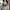 Set bra japan Angela  photo 1
